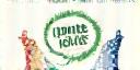 Community Impact Foundation Logo